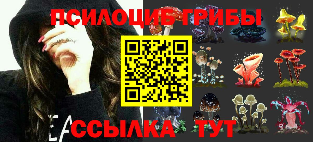 Псилоцибиновые грибы Cubensis  Псилоцибиновые грибы MAGIC MUSHROOMS  Вход с VPN  Гай 