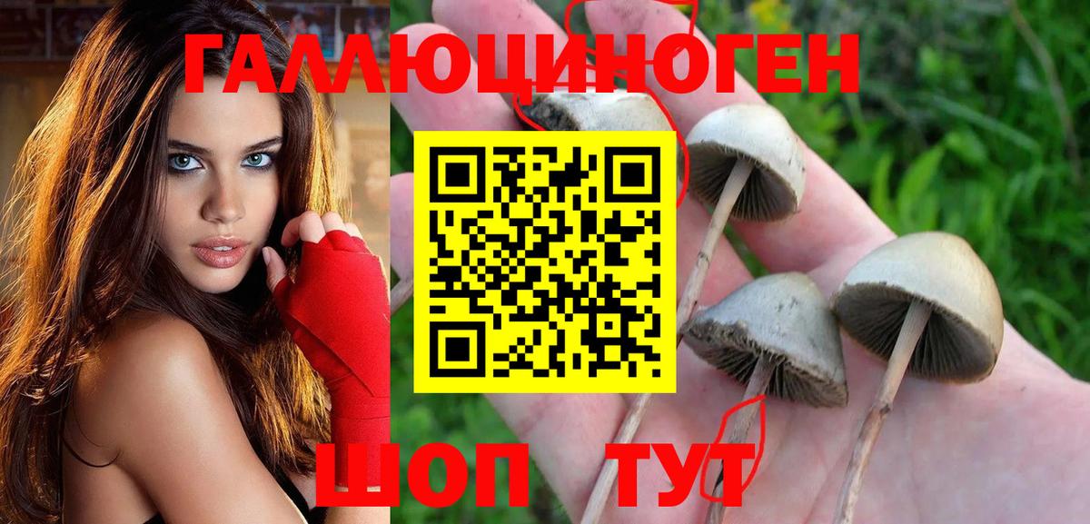Галлюциногенные грибы мицелий Гай